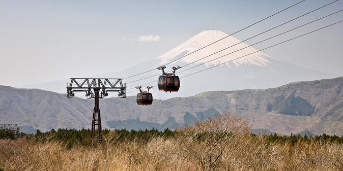 Mt. Fuji and Hakone Private Tour with English Speaking Guide - Arakurayama Sengen Park and the famous pagoda view