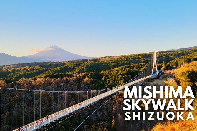 Mt. Fuji and Hakone Private Tour with English Speaking Guide - Lake Ashi’s pirate ship cruise
