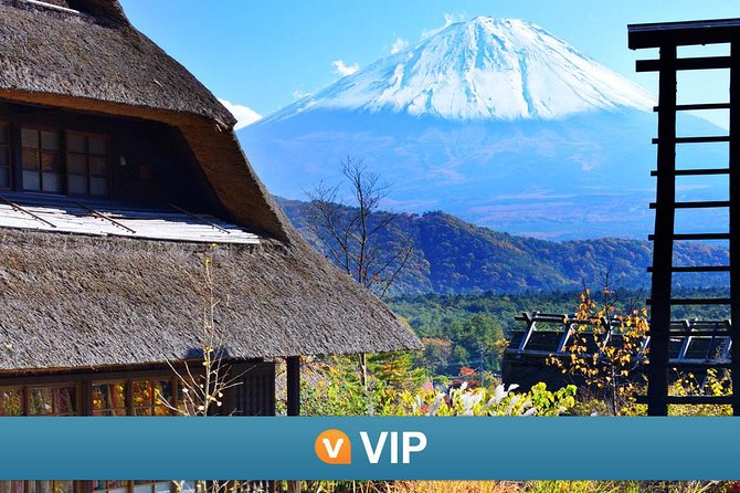 Mt Fuji and Kawaguchiko Private Tour - Arakura Fuji Sengen Shrine and the classic pagoda view