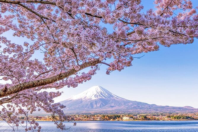 Mt. Fuji and Lake Kawaguchi Scenic 1-Day Bus Tour From Tokyo - A full Fuji day without changing trains