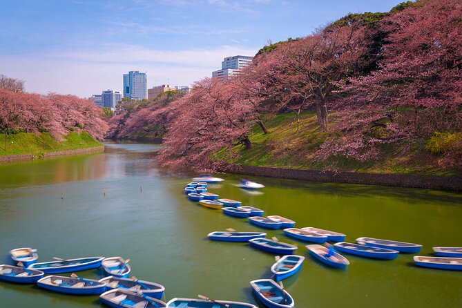 Mt Fuji and Tokyo - 2 Day Private Car Tour "ENGLISH DRIVER" - Day two: the best Fuji views require good weather