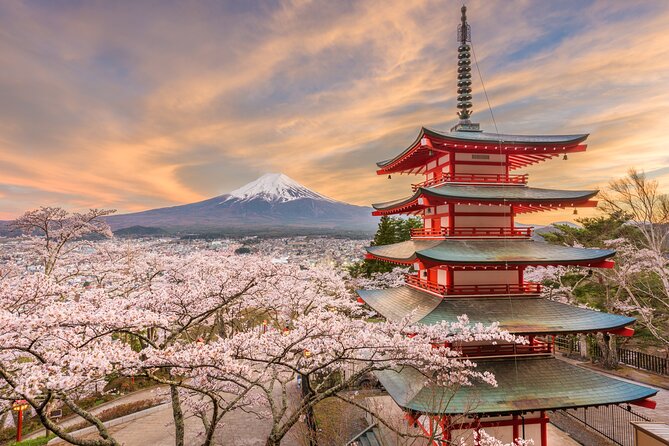 Mt Fuji and Tokyo - 2 Day Private Car Tour "ENGLISH DRIVER" - Practical details that affect your two days