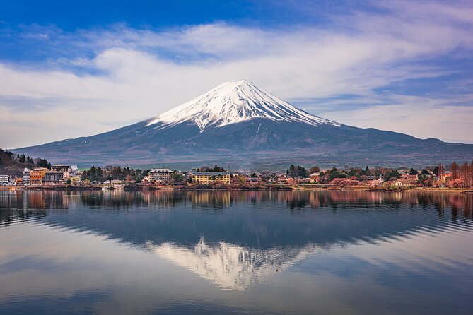Mt Fuji and Tokyo - 2 Day Private Car Tour "ENGLISH DRIVER" - Should you book it?