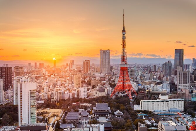 Mt Fuji and Tokyo - 2 Day Private Car Tour "ENGLISH DRIVER" - FAQ