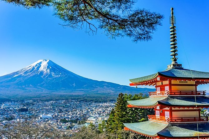 Mt. Fuji Area Tour Tokyo DEP: English Speaking Driver, No Guide - A private route from Tokyo to Mount Fuji