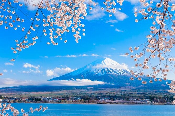 Mt. Fuji Area Tour Tokyo DEP: English Speaking Driver, No Guide - Oshino Hakkai and its eight spring-fed ponds