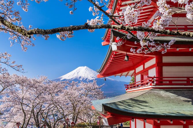 Mt. Fuji Area Tour Tokyo DEP: English Speaking Driver, No Guide - How the three or four stop limit shapes your day