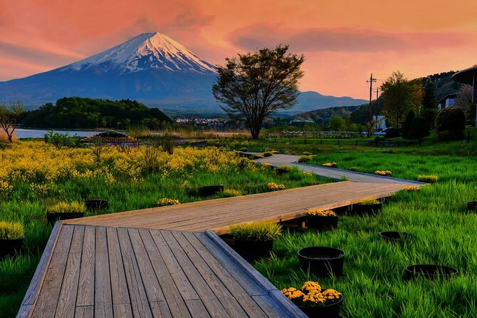 Mt. Fuji Area Tour Tokyo DEP: English Speaking Driver, No Guide - Who will get the most from this day trip?
