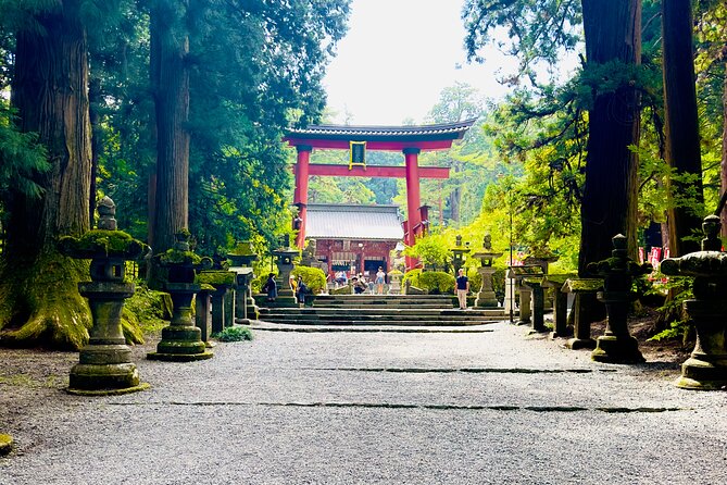 Mt. Fuji, Cherry Blossom & Shiba Sakura Pvt. Day Tour - Kitaguchi Hongu Fuji Sengen Shrine beneath old trees