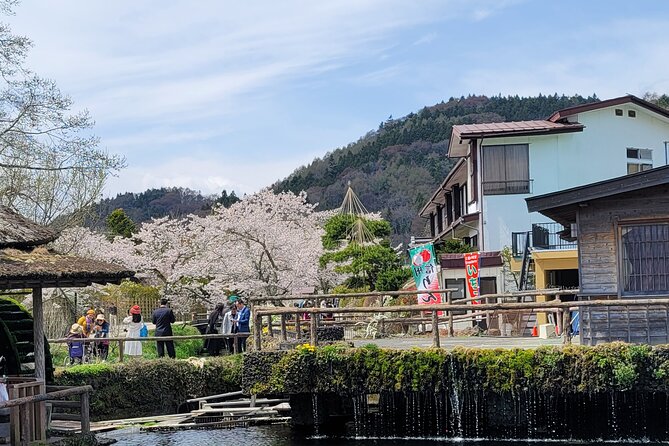Mt Fuji Day Tour by Car With English Speaking Chauffeurs - Oshino Hakkai: clear springs and old-style scenery