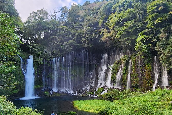 Mt Fuji Day Tour by Car With English Speaking Chauffeurs - Oishi Park: flowers, lake, and Fuji views