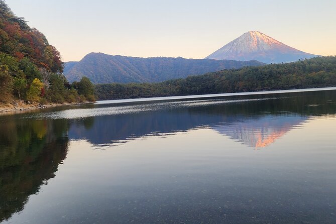 Mt Fuji Day Tour by Car With English Speaking Chauffeurs - Gotemba Premium Outlets: useful, but only if shopping is your thing