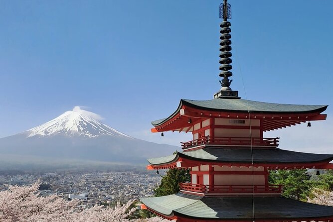 Mt Fuji Day Tour by Car With English Speaking Chauffeurs - Arakurayama Sengen Park: the famous pagoda view