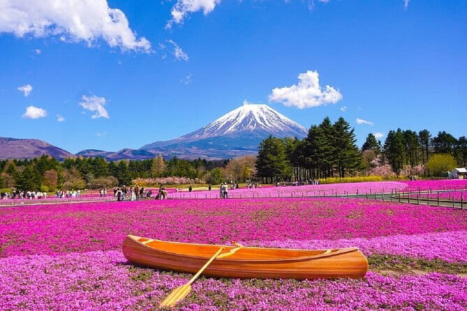 Mt. Fuji Day tour: Kawaguchi Lake Ropeway, Matcha, Oshino Hakkai - Key points to know before booking