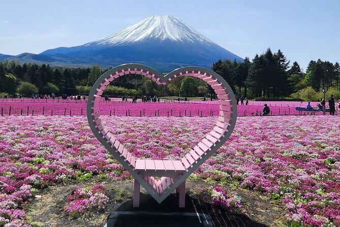 Mt. Fuji Day tour: Kawaguchi Lake Ropeway, Matcha, Oshino Hakkai - How much value do you get for $66.05?
