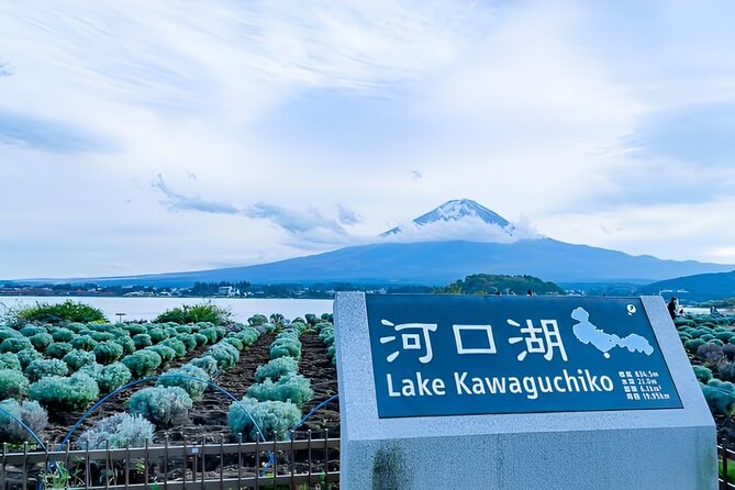 Mt FUJI Day Tour with Private Car and English Speaking Guide - The long ride from Tokyo to Fujiyoshida