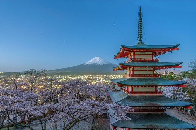 Mt FUJI Day Tour with Private Car and English Speaking Guide - Oshino Hakkai and its clear spring ponds