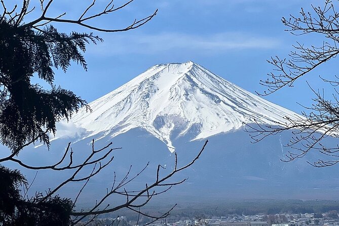 Mt. Fuji Day Trip from Tokyo with English Speaking Driver Guide - Lake Yamanaka adds a second side of the region