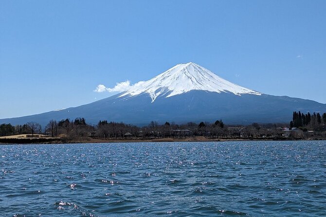 Mt. Fuji Day Trip from Tokyo with English Speaking Driver Guide - Mt. Fuji 5th Station sits high above the lakes