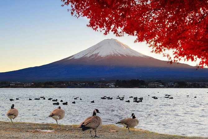 Mt Fuji Exclusive Tour with Private Car English Guide - Oishi Park beside Lake Kawaguchi