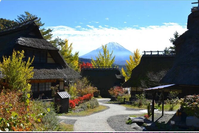 Mt Fuji Exclusive Tour with Private Car English Guide - Saiko Iyashi no Sato Nenba for a traditional village visit
