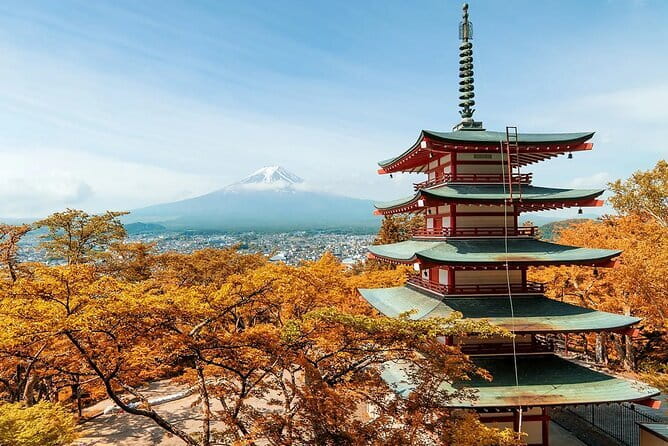 Mt Fuji Exploration Tour with Free Japanese Kusa Mochi from Tokyo - Why this Mount Fuji day trip works from Tokyo