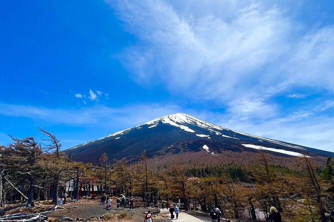 Mt. Fuji & Hakone Bus Tour Bullet Train Return & 28-Hotel Pick-up - Why This Tokyo Day Trip Packs So Much In
