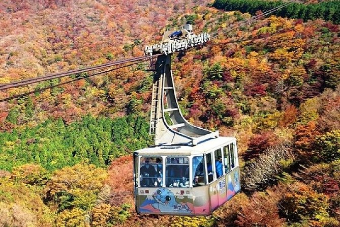 Mt Fuji & Hakone Cruise, Drum Show Bullet Train 1 Day from Tokyo - Lunch, Japanese drums, and a useful choice