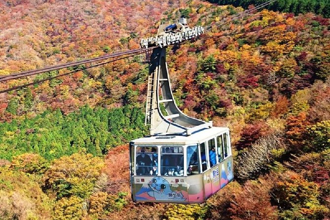 Mt Fuji & Hakone Cruise, Drum Show Bus 1 Day from Tokyo - A short cruise across Lake Ashi