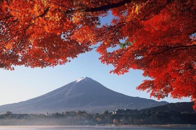 Mt Fuji & Hakone Cruise, Drum Show Bus 1 Day from Tokyo - Mt. Komagatake by ropeway