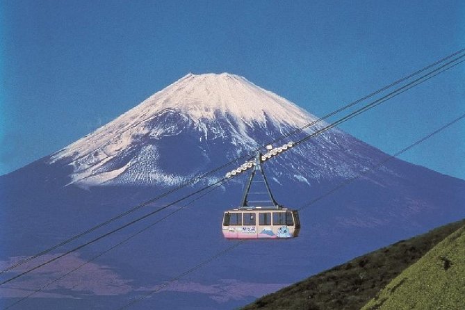 Mt Fuji & Hakone Cruise, Drum Show Bus 1 Day from Tokyo - The return to Tokyo and drop-off choices
