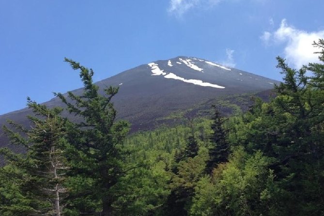 Mt Fuji & Hakone Cruise, Drum Show Bus 1 Day from Tokyo - Who will get the most from this full day