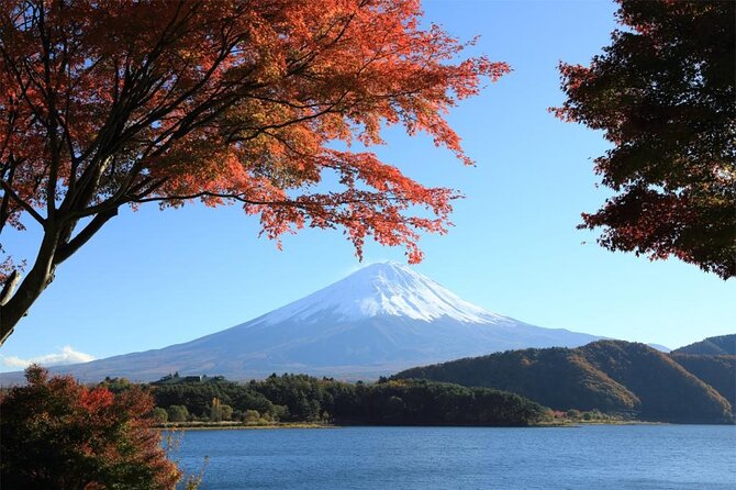 Mt Fuji & Hakone Cruise, Drum Show Bus 1 Day from Tokyo Sta. Area - Mt Fuji 5th Station at 2,300 meters