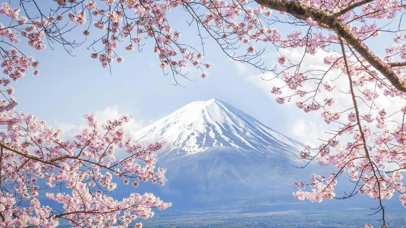 Mt.Fuji Hakone Day Tour With Lake Ashi Cruise, FREE Ropeway - Oshino Hakkai and its clear spring ponds