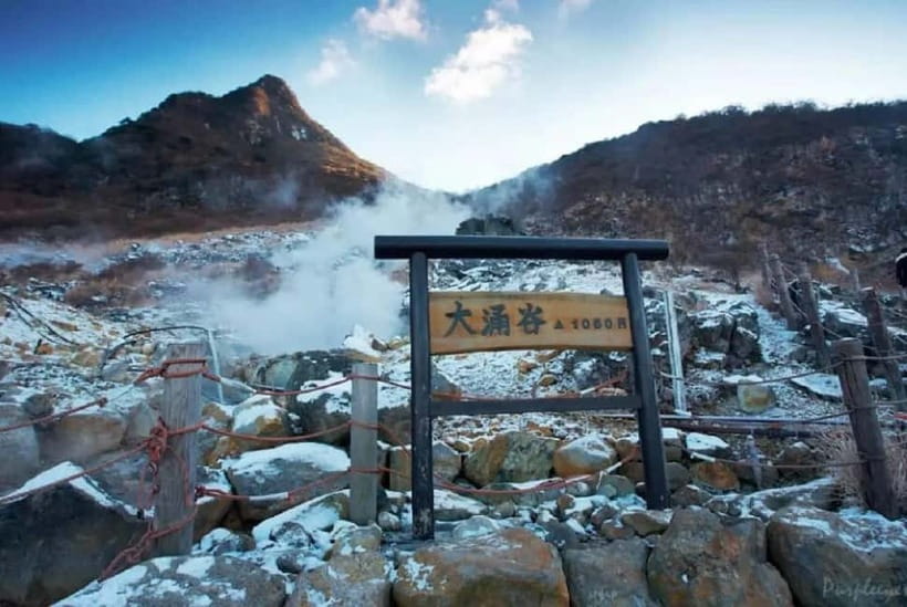 Mt.Fuji Hakone Day Tour With Lake Ashi Cruise, FREE Ropeway - Guides, languages, and group pace