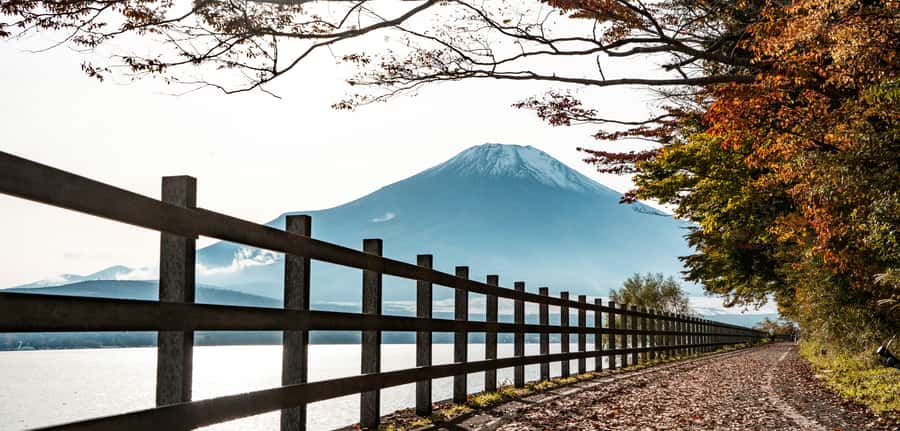 Mt. Fuji & Hakone Escape: Private Day Trip with Expert Guide - Key points to know before booking