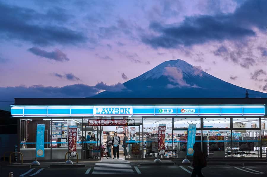 Mt. Fuji & Hakone Escape: Private Day Trip with Expert Guide - Why this private Fuji day trip makes sense from Tokyo
