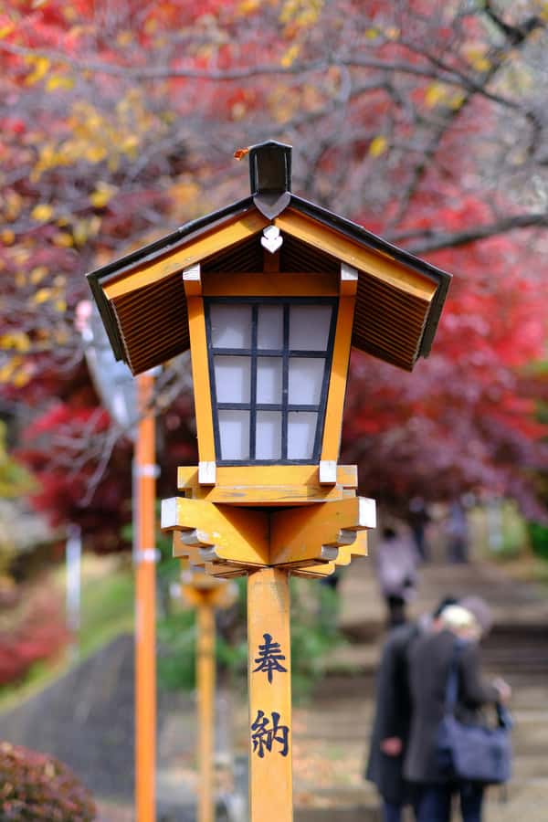 Mt. Fuji & Hakone Escape: Private Day Trip with Expert Guide - Lake Kawaguchi and Mt. Kachi Kachi Ropeway
