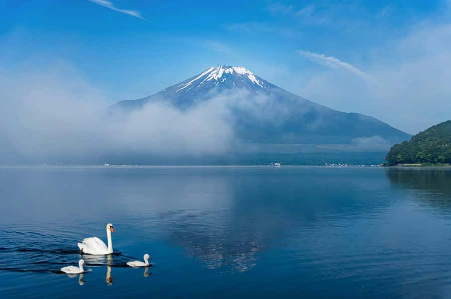 Mt. Fuji & Hakone Escape: Private Day Trip with Expert Guide - Oishi Park and the final photo stop