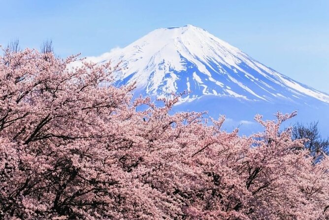 Mt. Fuji, Hakone Full-Day Private Tour with English Driver - Why this private Fuji day trip is appealing