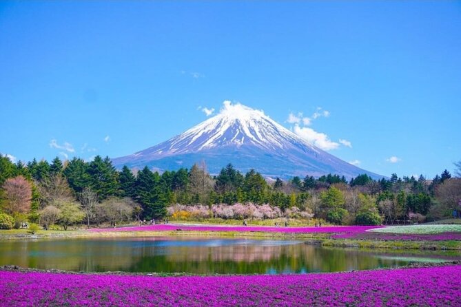 Mt. Fuji, Hakone Full-Day Private Tour with English Driver - Fuji 5th Station at 2,300 meters