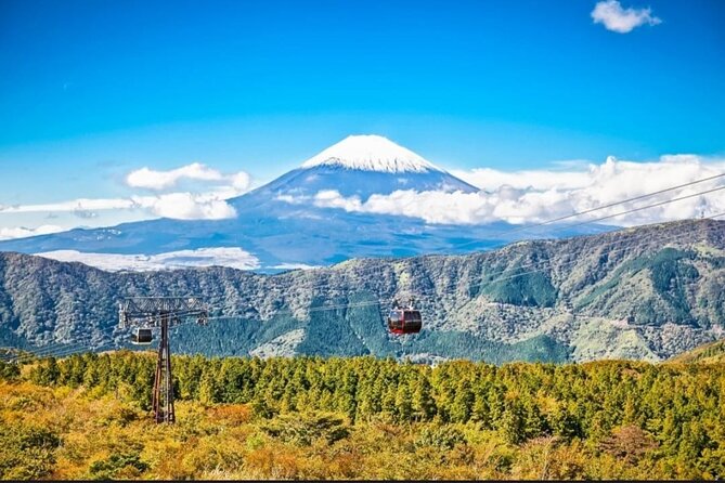 Mt. Fuji, Hakone Full-Day Private Tour with English Driver - Chureito Pagoda and its 400 steps