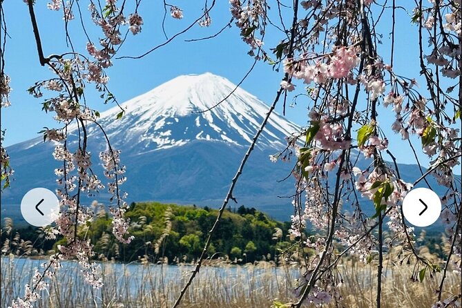 Mt. Fuji, Hakone Full-Day Private Tour with English Driver Guide - Arakurayama Sengen Shrine and Chureito Pagoda