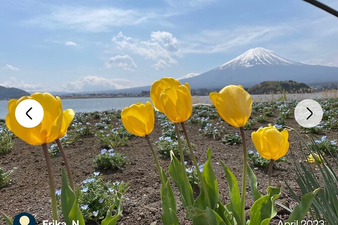 Mt. Fuji, Hakone Full-Day Private Tour with English Driver Guide - Kitaguchi Hongu Fuji Sengen Shrine