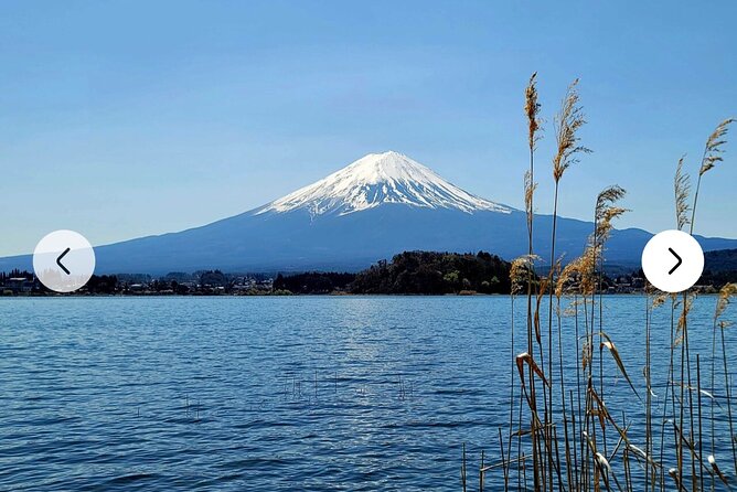 Mt. Fuji, Hakone Full-Day Private Tour with English Driver Guide - Owakudani and the black eggs of Hakone