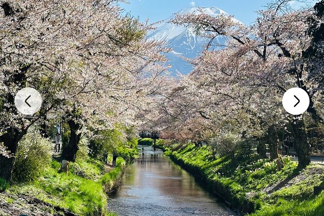 Mt. Fuji, Hakone Full-Day Private Tour with English Driver Guide - Lake Kawaguchiko and the Kachi Kachi viewpoint