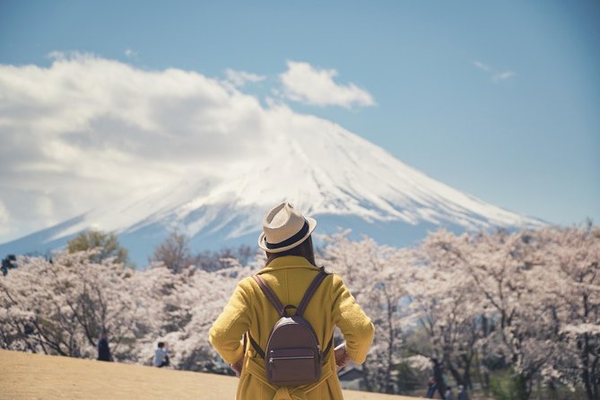 Mt. Fuji & Hakone Private Day Tour with English-Speaking Driver - One day from Tokyo, with the steering wheel taken care of