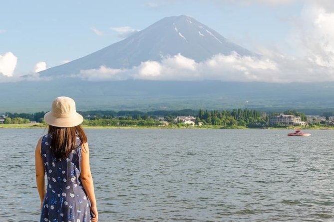 Mt. Fuji & Hakone Private Day Tour with English-Speaking Driver - The real value of $453.56 for up to five people