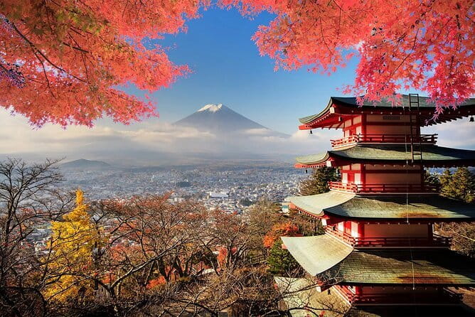 Mt Fuji, Hakone Private Tour by Car Pickup from Tokyo - Key points to know before booking