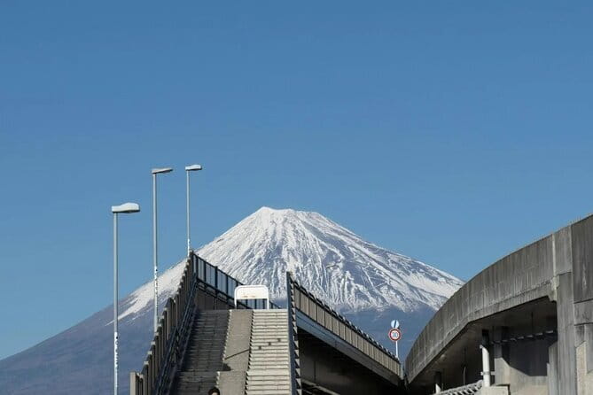 Mt Fuji, Hakone Private Tour by Car Pickup from Tokyo - Riding the Hakone Ropeway